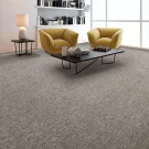 Random Nature by Mohawk Carpet