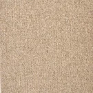 Saratoga_Dakota_Tan Stanton Carpet