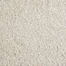 Shaggy_Superstar_Bone Stanton Carpet