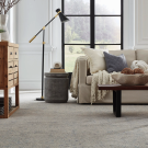 Hamilton by Masland Carpet