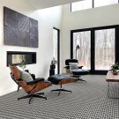 Summit by Masland Carpet