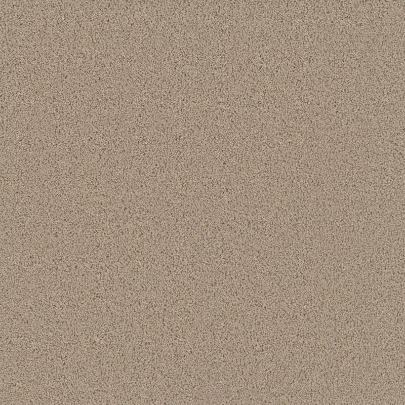 Rug Product Image