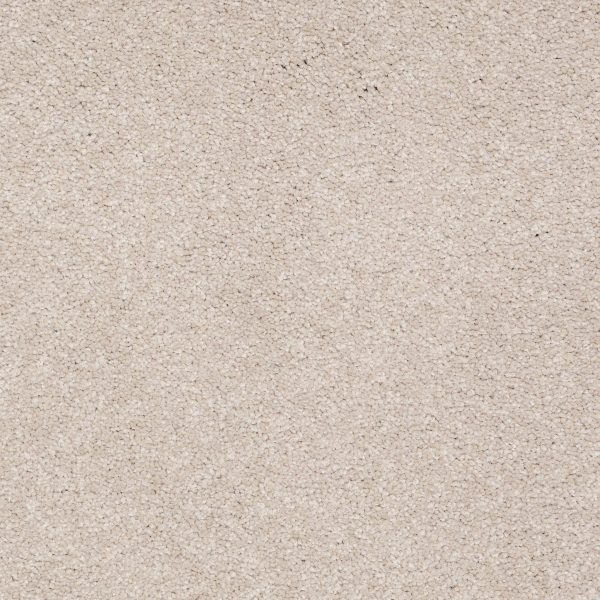 Shaw Floors - MAGIC AT LAST II 12 by Shaw Floors - Quartz