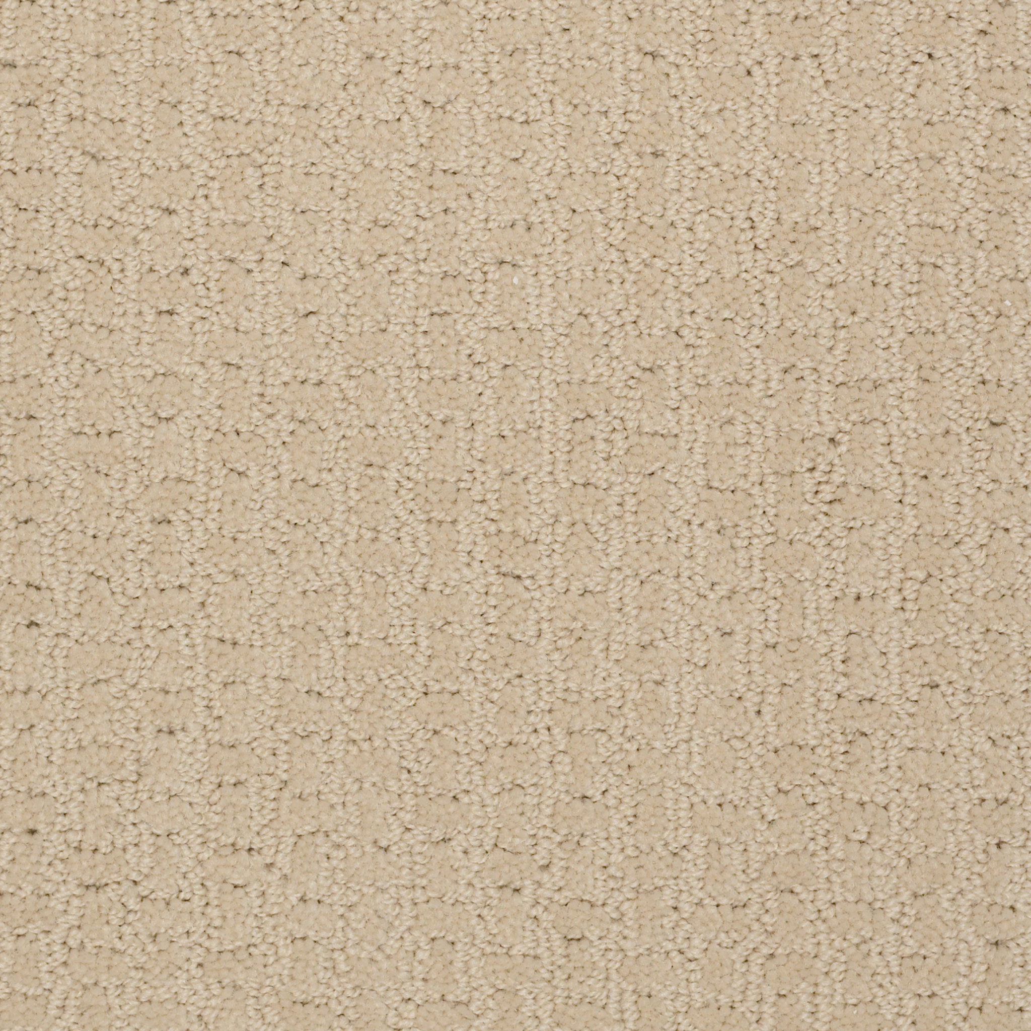 Rug Product Image