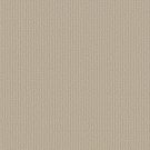 Shaw Floors - RAY OF LIGHT by Shaw Floors - Sand Pebble