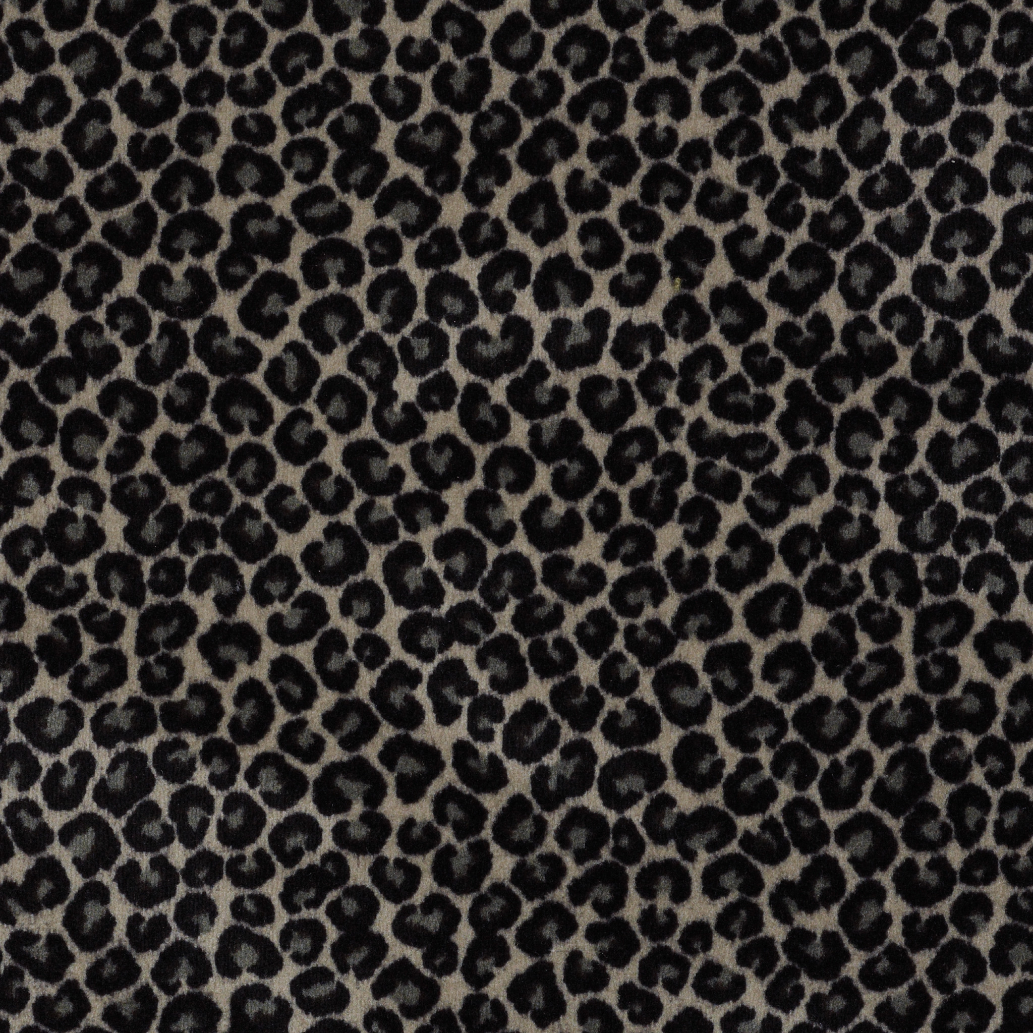 Rug Product Image