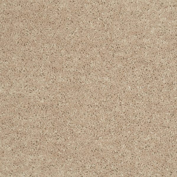 Shaw Floors - ALL STAR WEEKEND I 12' by Shaw Floors - Flax Seed