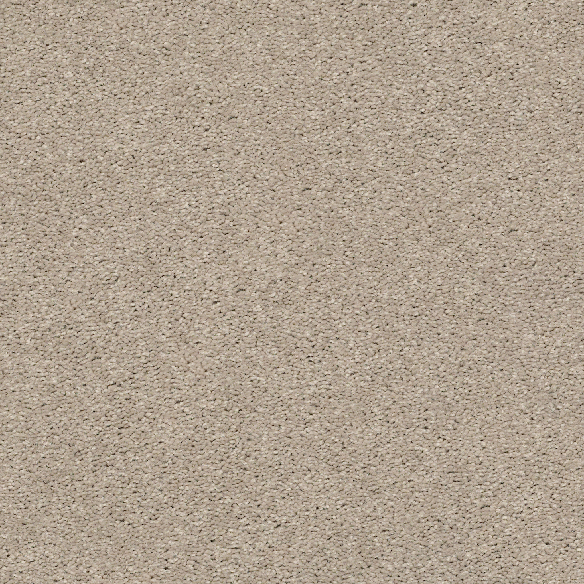 Rug Product Image