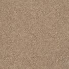 Shaw Floors - CABANA LIFE SOLID by Shaw Floors - Camel