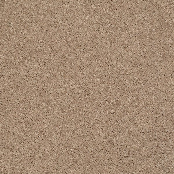 Shaw Floors - CABANA LIFE SOLID by Shaw Floors - Camel