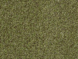 Philadelphia Commercial - ARBOR VIEW (T) by Philadelphia Commercial - Mossy Bark