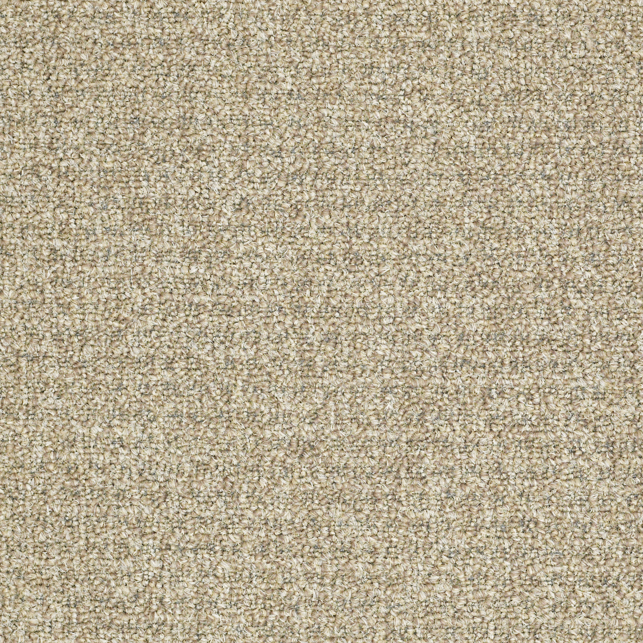 Rug Product Image