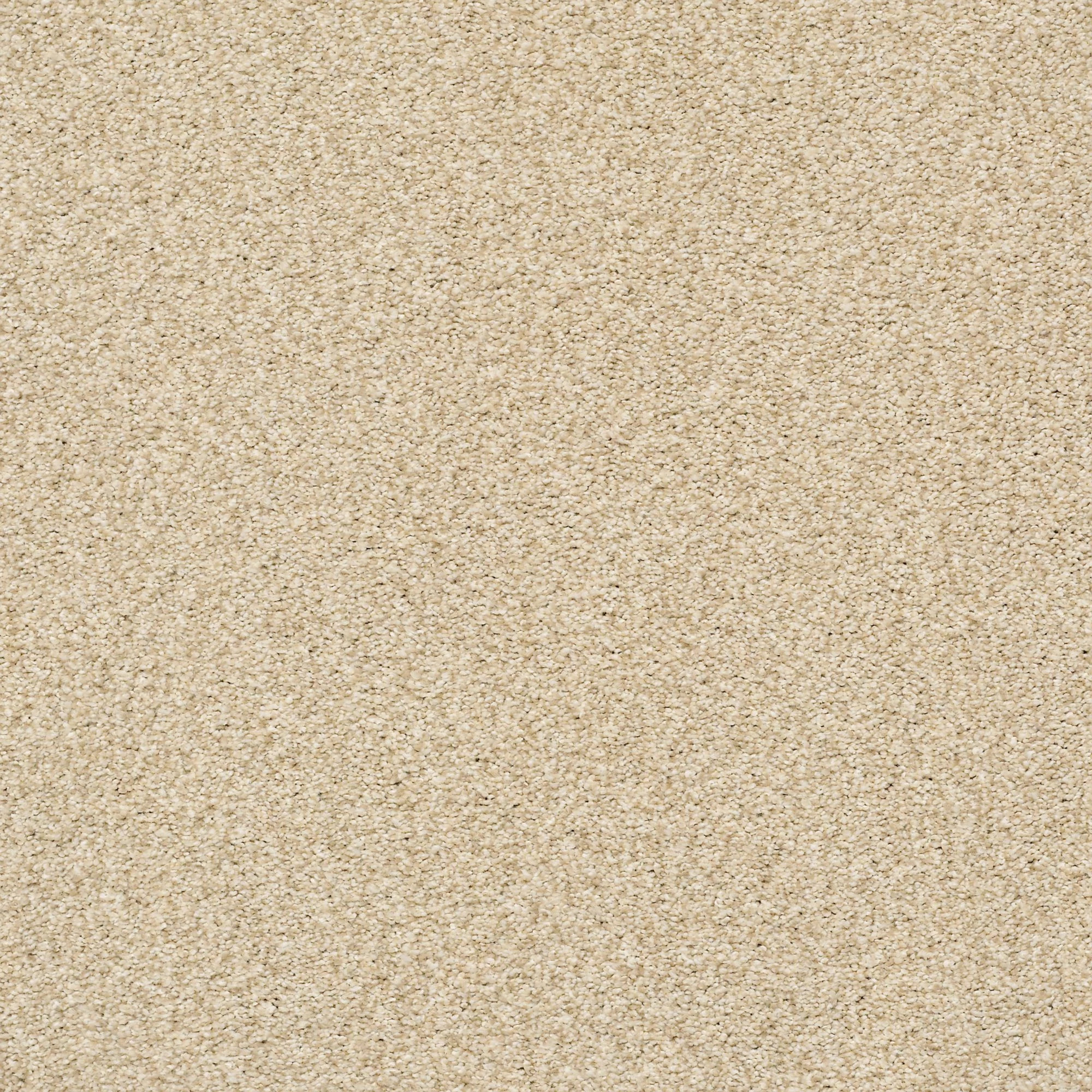 Rug Product Image