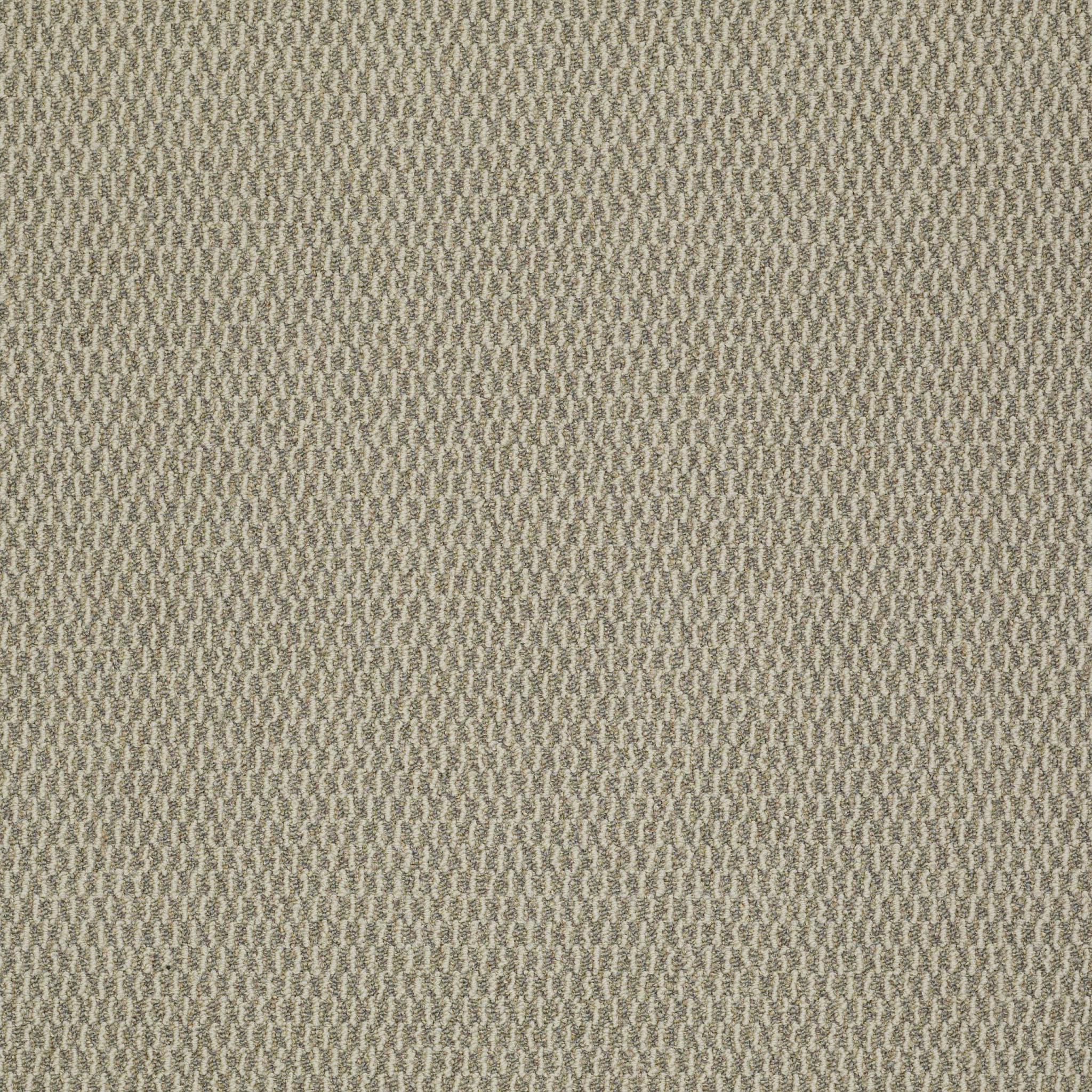 Rug Product Image