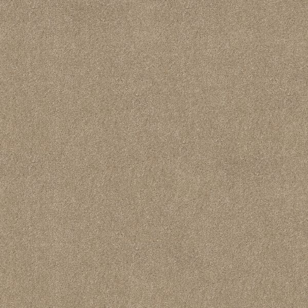 Shaw Floors - WHAT'S UP by Shaw Floors - French Canvas