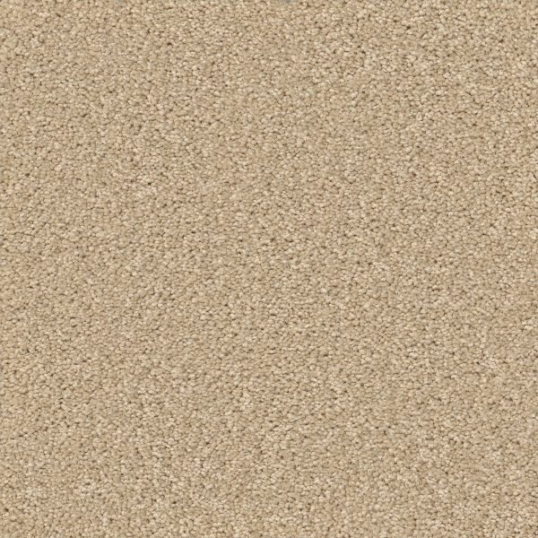 Shaw Floors - LAS CRUCES by Shaw Floors - Cream Puff