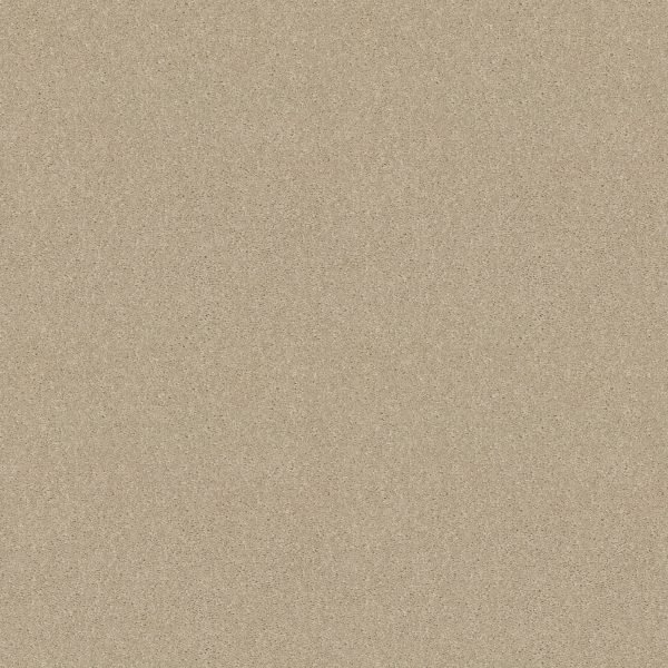 Shaw Floors - DYERSBURG II 12' by Shaw Floors - Ivory Tint