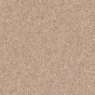 Shaw Floors - DYERSBURG II 12' by Shaw Floors - Cashmere