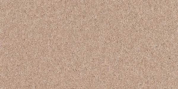 Shaw Floors - DYERSBURG II 12' by Shaw Floors - Cashmere