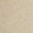 Shaw Floors - DYERSBURG CLASSIC 15' by Shaw Floors - Sand Dollar