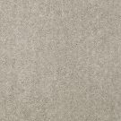 Shaw Floors - DYERSBURG CLASSIC 15' by Shaw Floors - Antique Silk