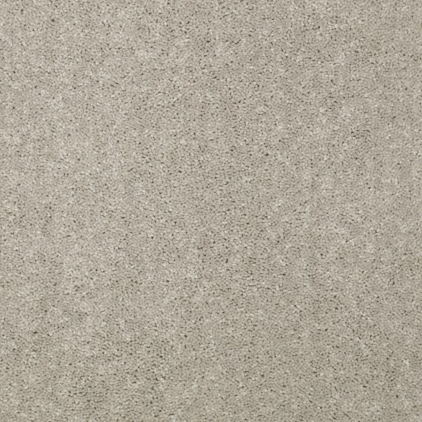 Shaw Floors - DYERSBURG CLASSIC 15' by Shaw Floors - Antique Silk