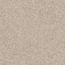 Shaw Floors - ABILENE II by Shaw Floors - Gentle Rain