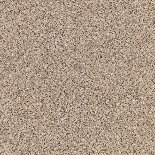 Shaw Floors - TAKE THE FLOOR ACCENT I by Shaw Floors - Desert Sunrise