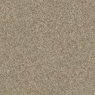 Shaw Floors - ALL ABOUT IT by Shaw Floors - Sugar Cookie