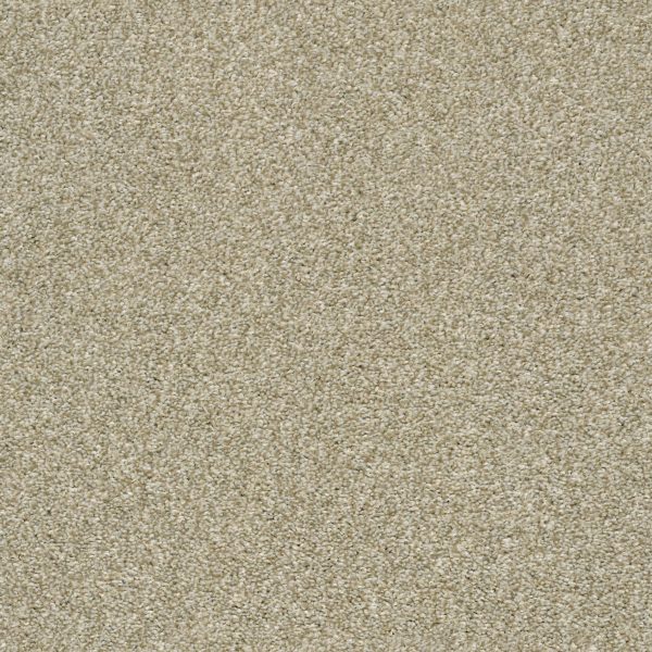 Shaw Floors - CABANA LIFE (T) by Shaw Floors - Wheat Field