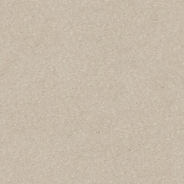 Shaw Floors - SOLIDIFY II 12' by Shaw Floors - Bleached