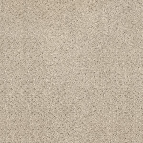 Shaw Floors - MAINSTAY by Shaw Floors - Butter Cream