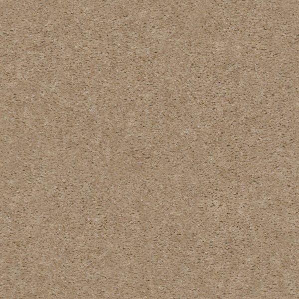 Shaw Floors - HEROIC by Shaw Floors - Artisan Craft