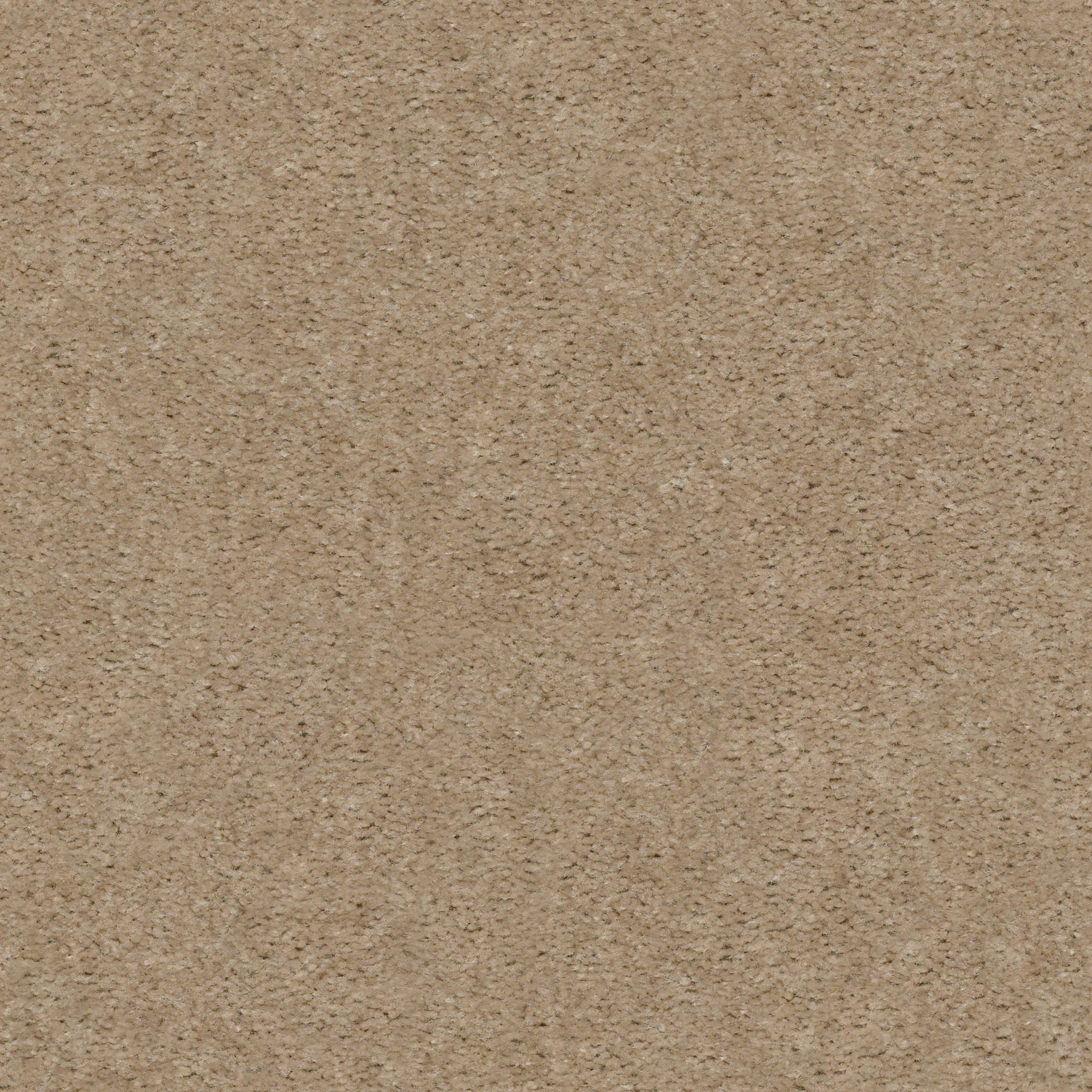 Rug Product Image