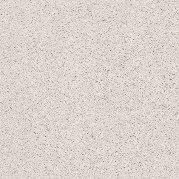 Shaw Floors - SUAVE by Shaw Floors - Canvas