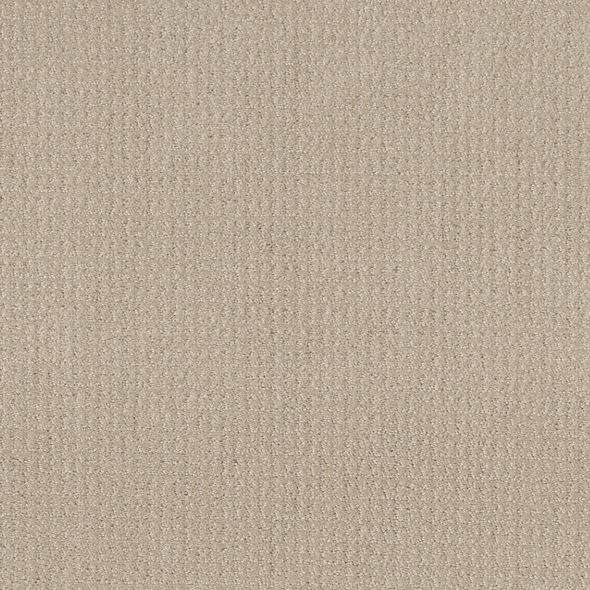 Rug Product Image