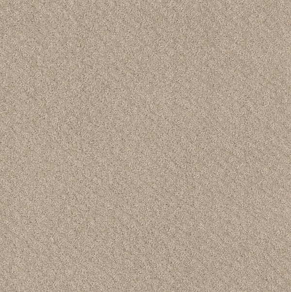 Shaw Floors - CHIC SHADES by Shaw Floors - Butter Cream