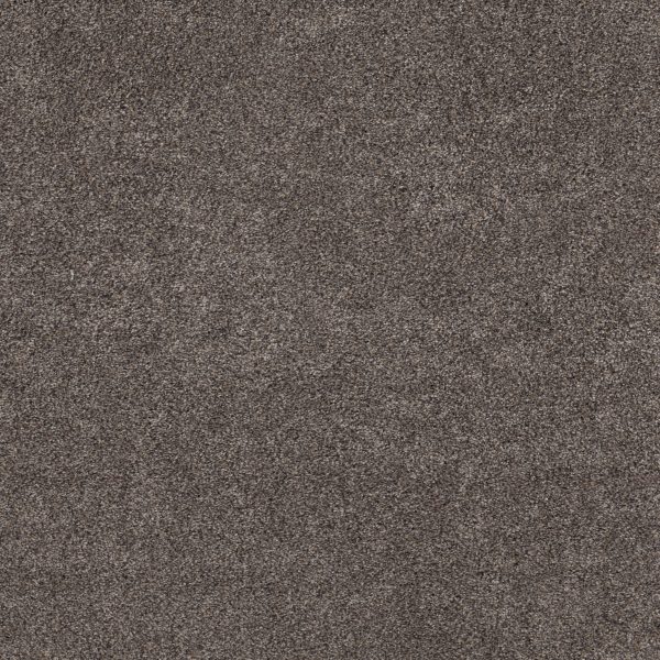 Shaw Floors - CALM SIMPLICITY II by Shaw Floors - Antelope