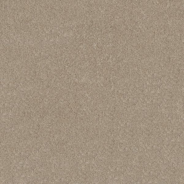 Shaw Floors - GRAND OUTLOOK by Shaw Floors - Natural