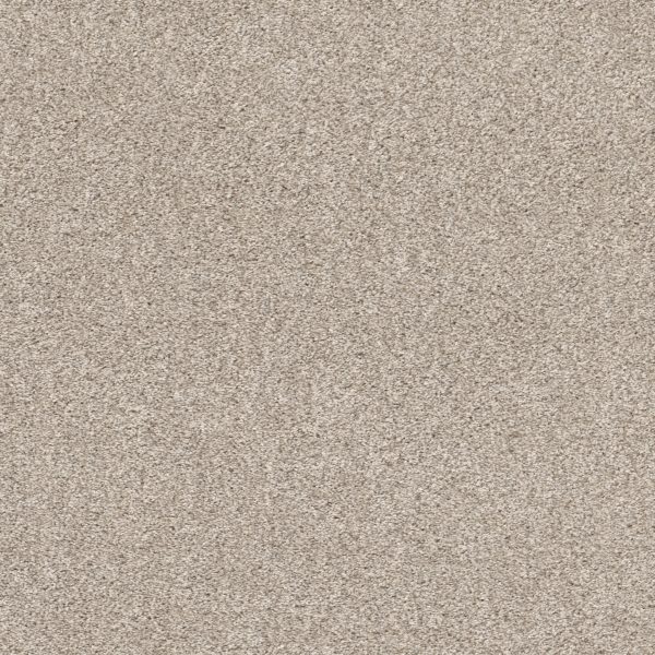 Shaw Floors - CALM SERENITY I by Shaw Floors - Washed Linen