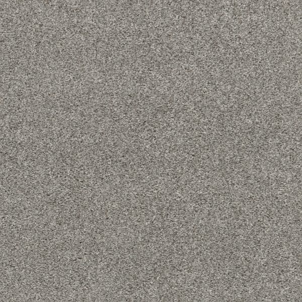 Shaw Floors - CALM SERENITY I by Shaw Floors - Split Sediment