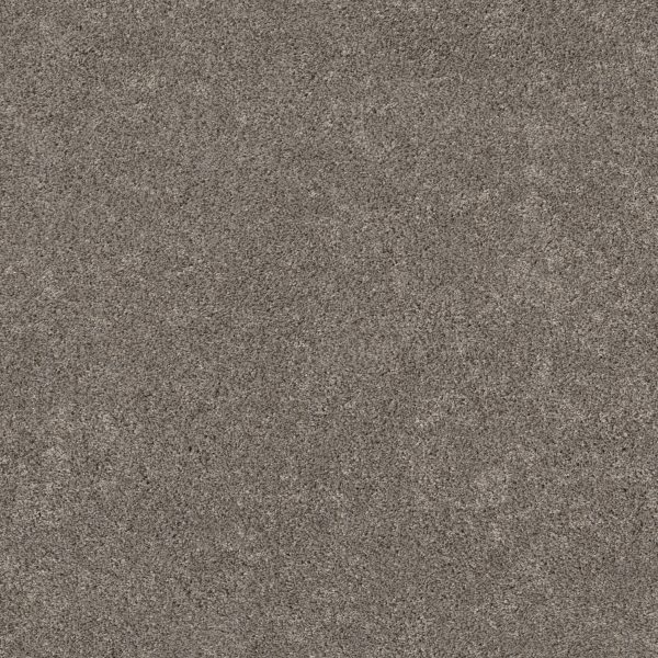 Shaw Floors - CALM SERENITY II by Shaw Floors - Dark Maple