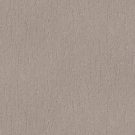 Shaw Floors - CALM EXPRESSION by Shaw Floors - Charming Tan