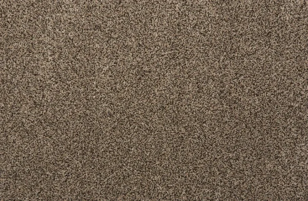 Quest-Plush-Coco-Stanton-Carpet