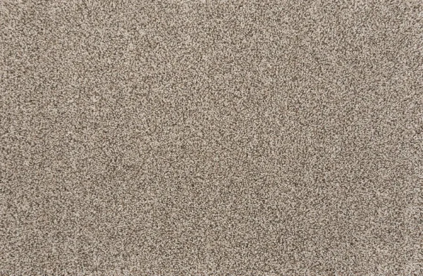 Quest-Plush-Bark-Stanton-Carpet