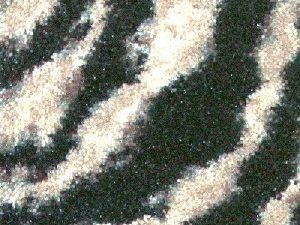 Milliken Carpets Classic Harmony Matamba Zebra 3206-813