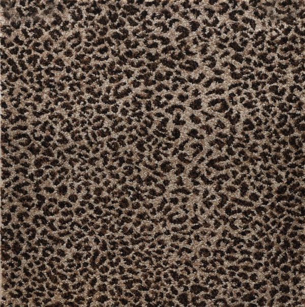 Ceremony-Leopard-1018x1024