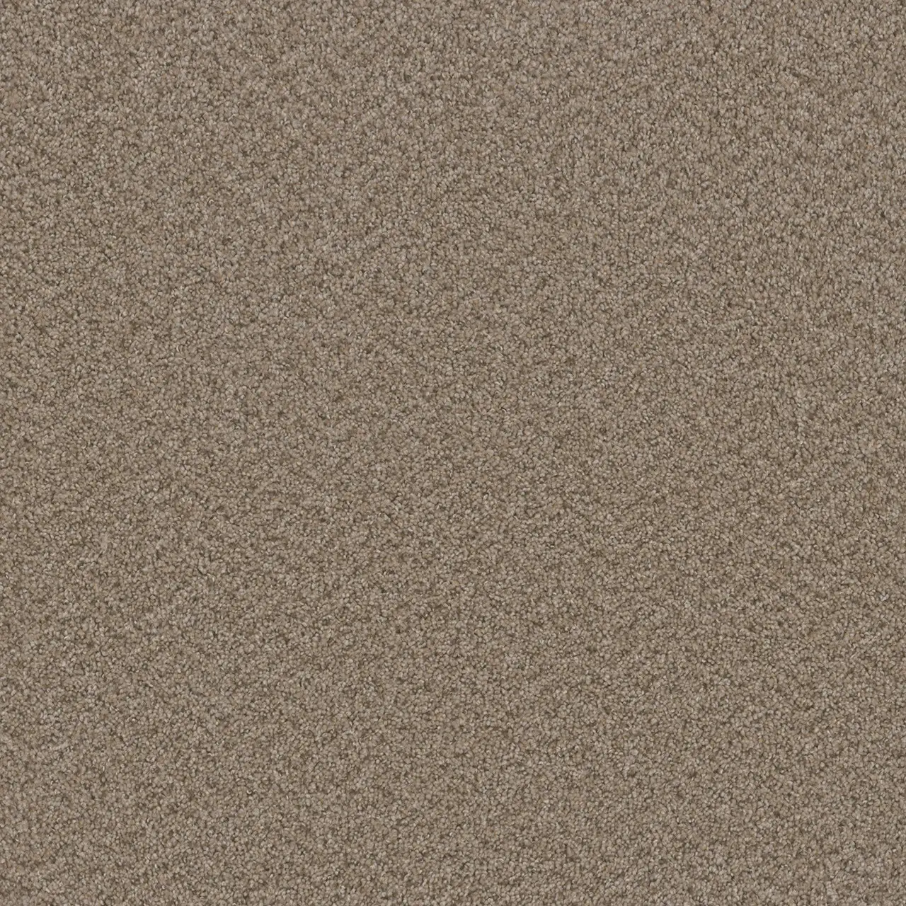 Rug Product Image