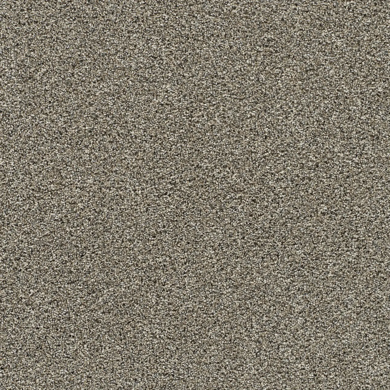 Rug Product Image