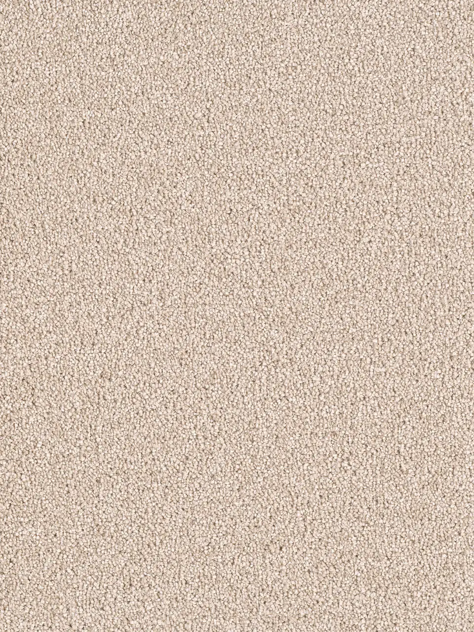 Rug Product Image